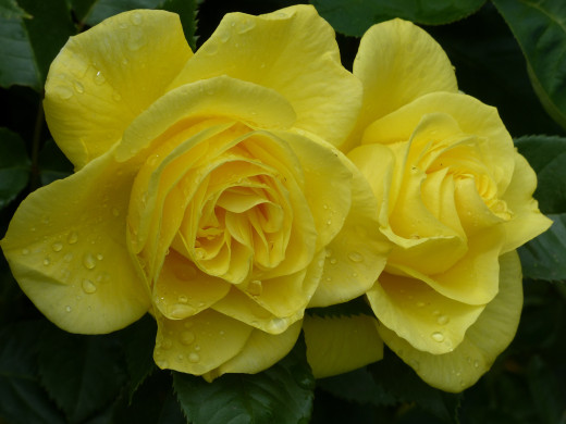 995168 (a): :3200x2400